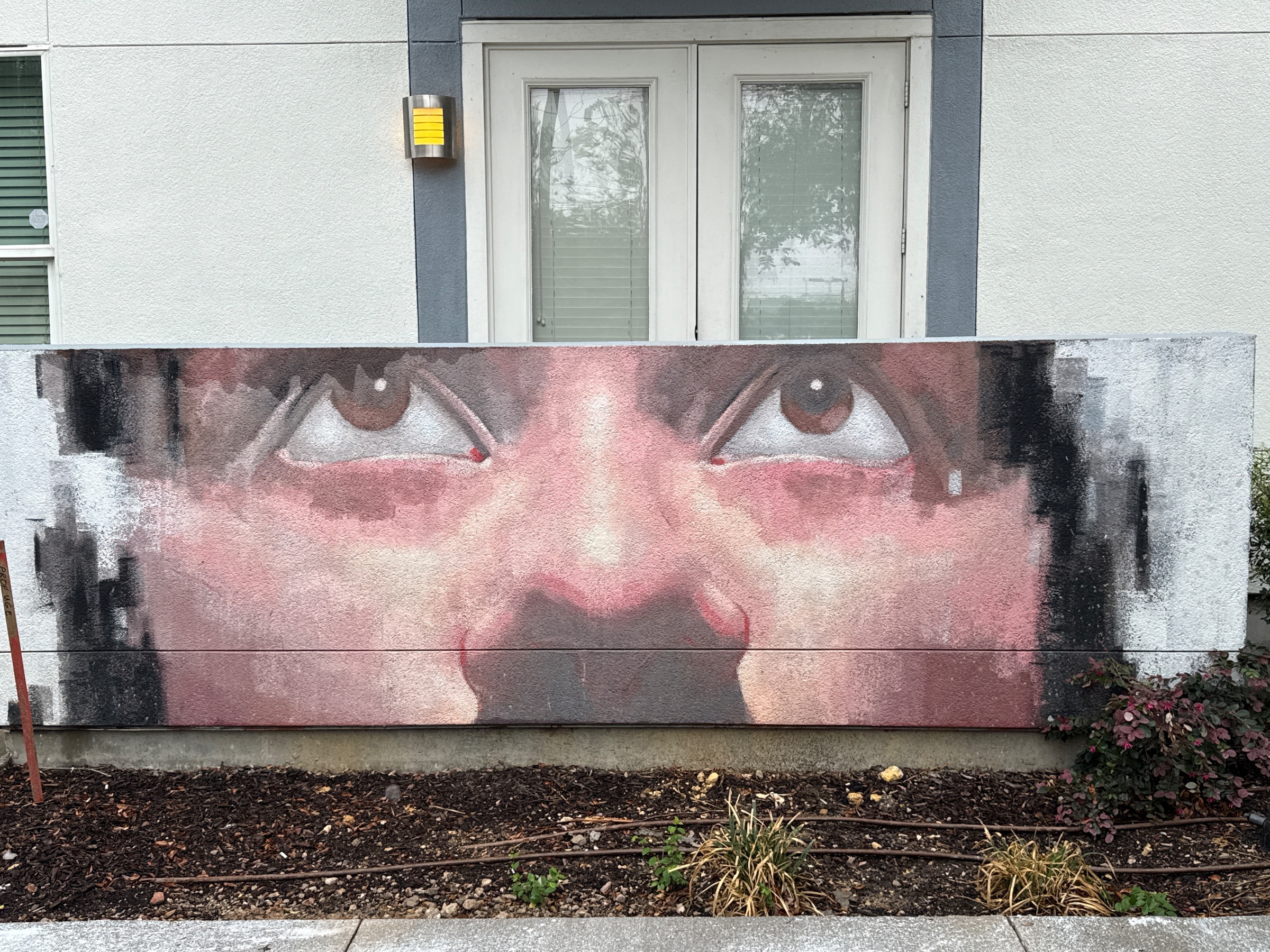 Car at Magnolia Avenue murals